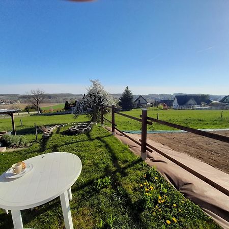 Location Type Gite, Chambre D'Hote, Meuble De Tourisme Dans Joli Petit Chalet Typique Et Ou Jolie Roulotte Type Boheme Waldighoffen Εξωτερικό φωτογραφία