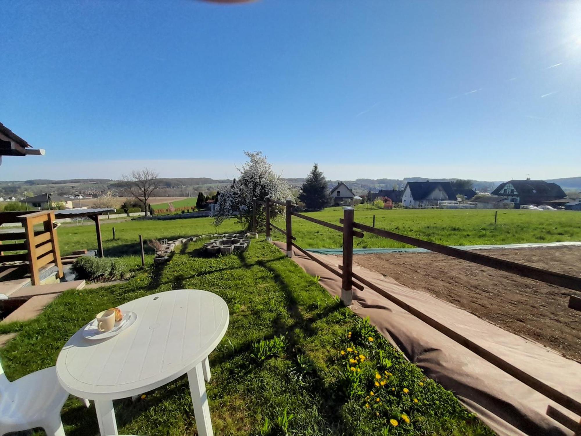Location Type Gite, Chambre D'Hote, Meuble De Tourisme Dans Joli Petit Chalet Typique Et Ou Jolie Roulotte Type Boheme Waldighoffen Εξωτερικό φωτογραφία